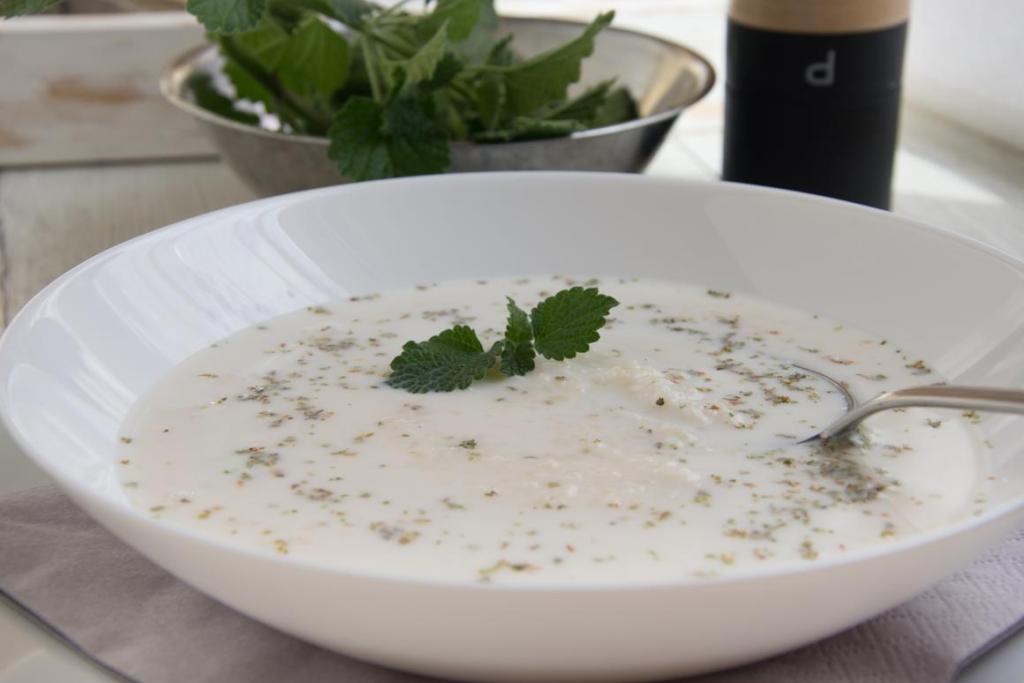 Yayla Çorbası (Sopa de yogur y menta) Turquía.
