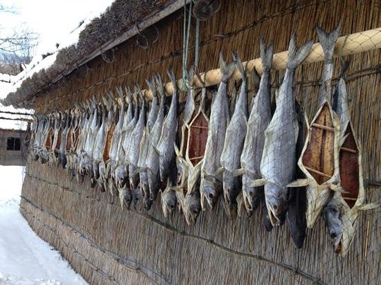 Salmón a la manera ainu — Chipe ruype. Tribu Ainu, Japón
