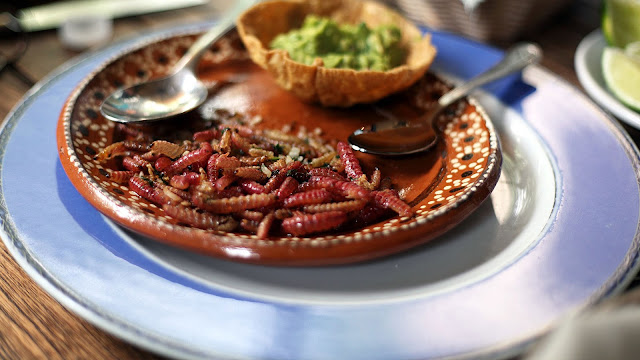 Gusanos de maguey .&nbsp;México